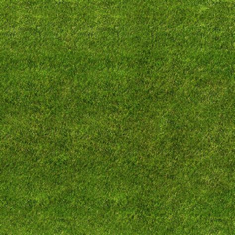 Grass seamless texture | 잔디, 네이비 벽, 텍스쳐 디자인