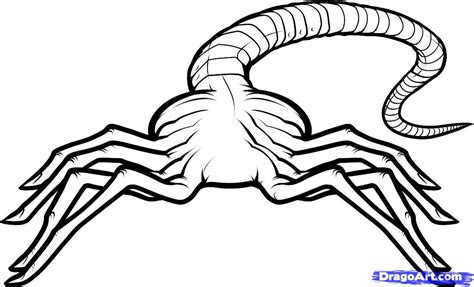 how to draw a facehugger, facehugger alien step 7 | Facehugger, Coloring pages, Drawings