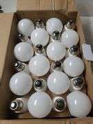LED Light Bulbs - Trice Auctions