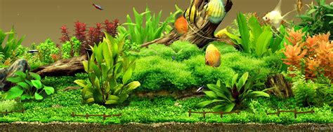 Aquarium Wallpapers Group (65+)