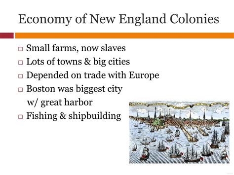 PPT - Settlement & Foundation of the Original 13 Colonies PowerPoint Presentation - ID:2762879