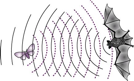 reverberate: to echo. | Cientifica, Ilustração