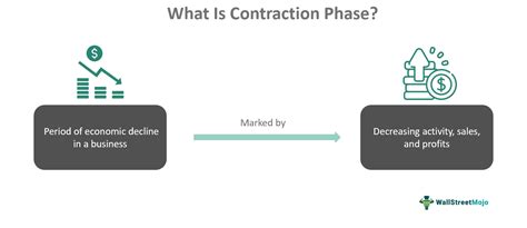 Contraction Phase - What It Is, Examples, Vs Expansion Phase