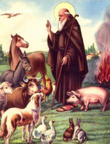 Saints Who Loved Animals – Catholic Concern for Animals