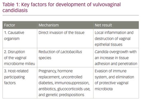 Novel Antifungals for the Treatment of Vulvovaginal Candidiasis: Where Are We? - touchINFECTIOUS ...