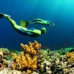 Great Barrier Reef - PRE-TEND Be curious.