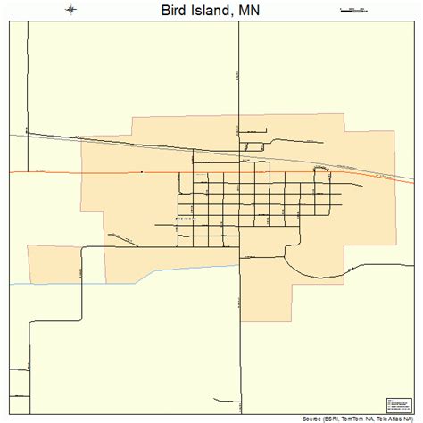 Bird Island Minnesota Street Map 2706076