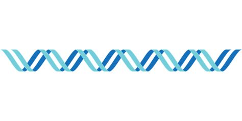 Dna Icon Double Stranded · Free vector graphic on Pixabay