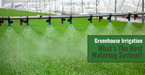 Greenhouse Irrigation - What’s the best watering system?