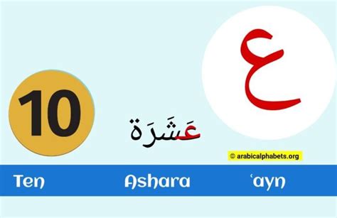 Ayn (AIN) Arabic Letter - (ع) Complete Guide For Beginners