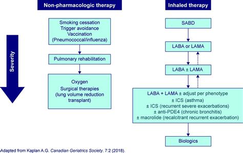 Inhaled Corticosteroid Treatment in Chronic Obstructive Pulmonary ...