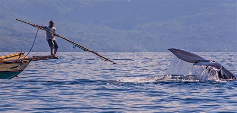 Photo Diary of a Whale Hunt | Hakai Magazine