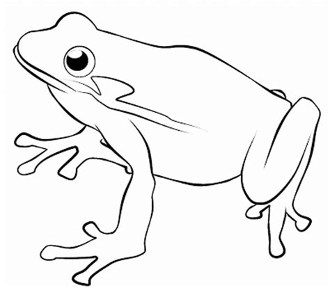 Cute Frog Drawing at GetDrawings | Free download