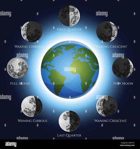 Moon phases lunar cycle shadow and earth globe vector illustration Stock Vector Image & Art - Alamy