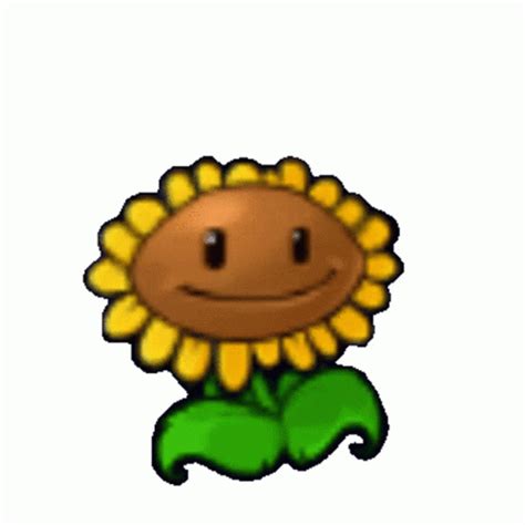 Sunflower Pvz Sticker - Sunflower Pvz Plants Vs Zombies - Gif's ontdekken en delen