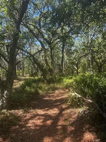 Best Forest Trails in Lake Louisa State Park | AllTrails