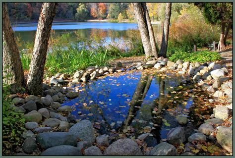 Through Carol's Lens: Hidden Lake Gardens