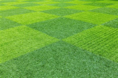 Artificial turf colors - GoGreen Lands