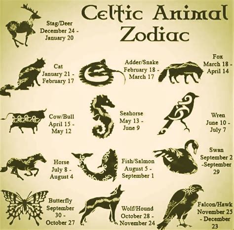 Celtic Animal Zodiac - CrystalWind.ca | Celtic Zodiac