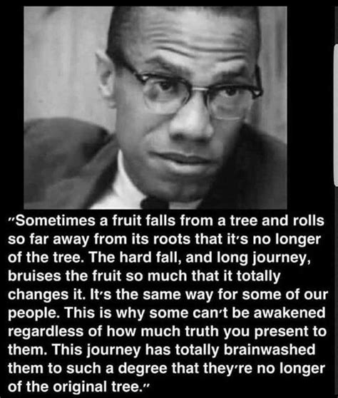 Malcolm X Quotes On Love - ShortQuotes.cc