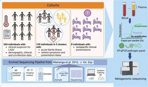 Using metagenomics to identify viruses in plasma samples