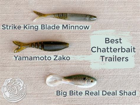 Chatterbait Tips – Picking The Best Trailers for Bass Fishing