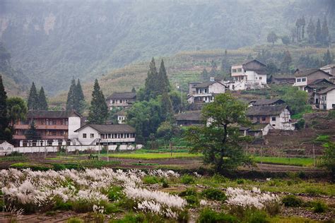 "Traditional Chinese Countryside" by Stocksy Contributor "Alice Nerr ...