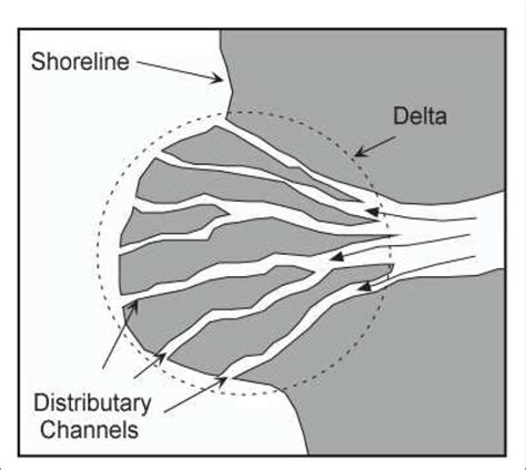 FIGURE E A typical schematic of a river delta. The primary tributary ...