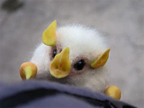 Honduran white bat, Cute animals, White bat