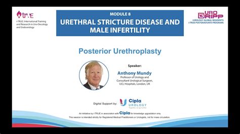 Posterior Urethral Injuries; Posterior Urethroplasty Corporal Rerouting; Staged Repair Anthony ...