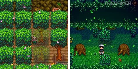 Where To Farm Hardwood In Stardew Valley