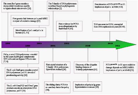 Timeline of the principal TLS milestones since the discovery of the ...