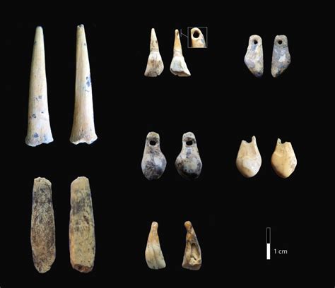 Researchers reveal new timeline of humans at Siberia's Denisova Cave ...