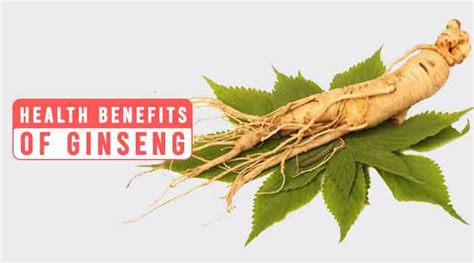 11 Ginseng Benefits: Dosage and Side Effects | HealthtoStyle