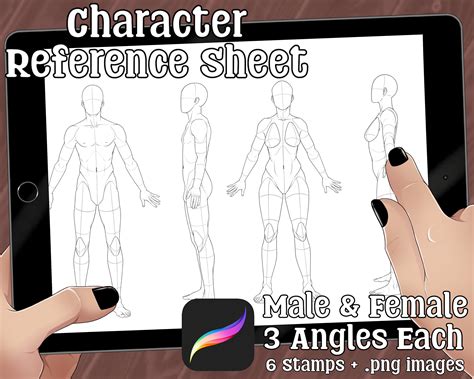 Character Reference Sheet Base Template Male and Female 6 Stamps .png ...