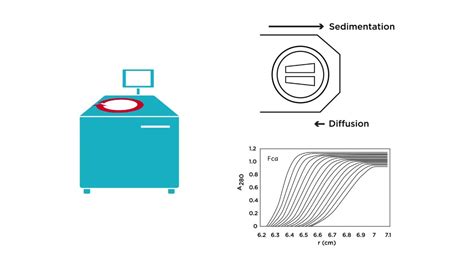 Introduction to Analytical Ultracentrifugation: AUC 101 - YouTube