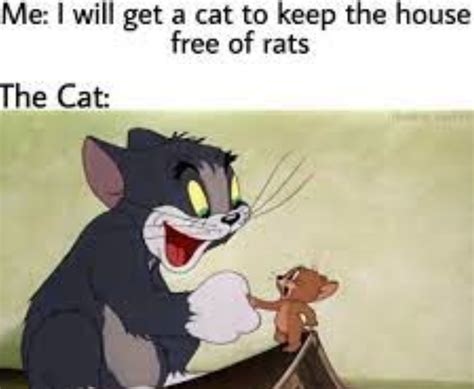 Tom And Jerry Meme