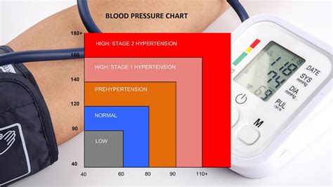 Pulse Pressure - The Definitive Guide | Biology Dictionary