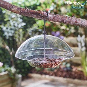 Bird Feeders for Wild Bird Feeding | Happy Beaks