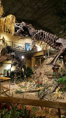 Glendive Dinosaur & Fossil Museum - All You Need to Know BEFORE You Go - Updated 2021 (MT ...