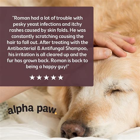 Antibacterial & Antifungal Shampoo for Dogs & Cats – Contains ...