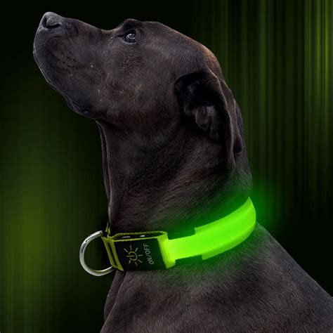 Illumifun LED Dog Collar, USB Rechargeable Nylon Webbing Adjustable ...