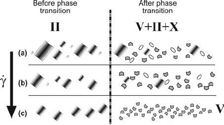 Sketch describing the phase transition behavior at 17.5 ° C. | Download Scientific Diagram