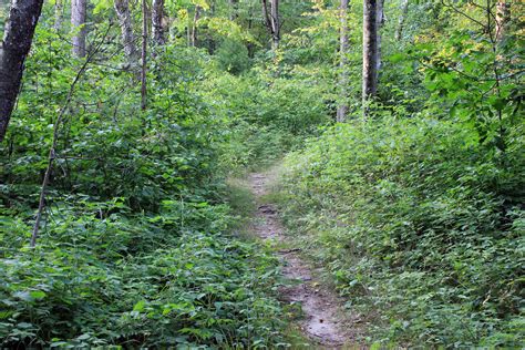 Nature Path at Point Beach State Park, Wisconsin image - Free stock ...