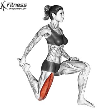 How To: Kneeling Quad Stretch | Muscles Worked And Benefits