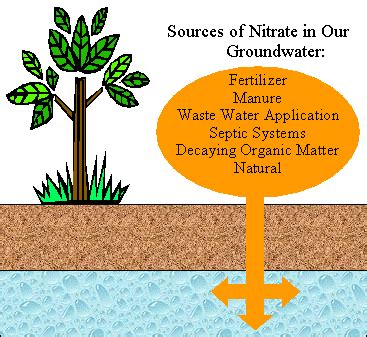 nitrates | Politics in the Zeros