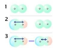 How do London dispersion forces arise in a nonpolar molecule? | Socratic