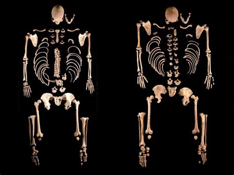 Charting 8,000 Years of Iberian Genomic History – Popular Archeology