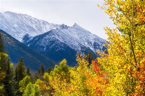 Colorado Fall Colors