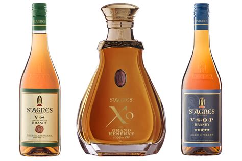 10 Best Brandy Brands to Cap Off Your Night | Man of Many